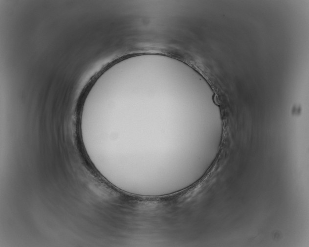 X0000091970342200709271411