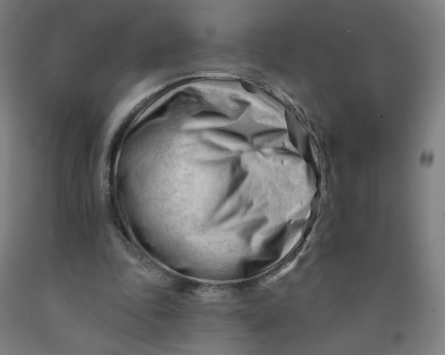 X0000091970343200709271411