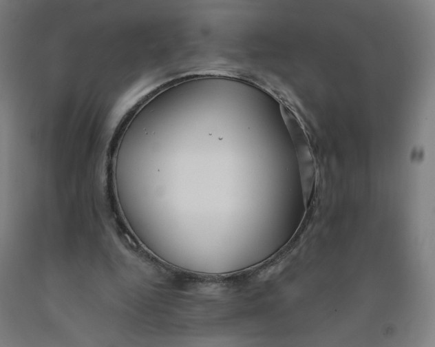X0000091970344200709271411