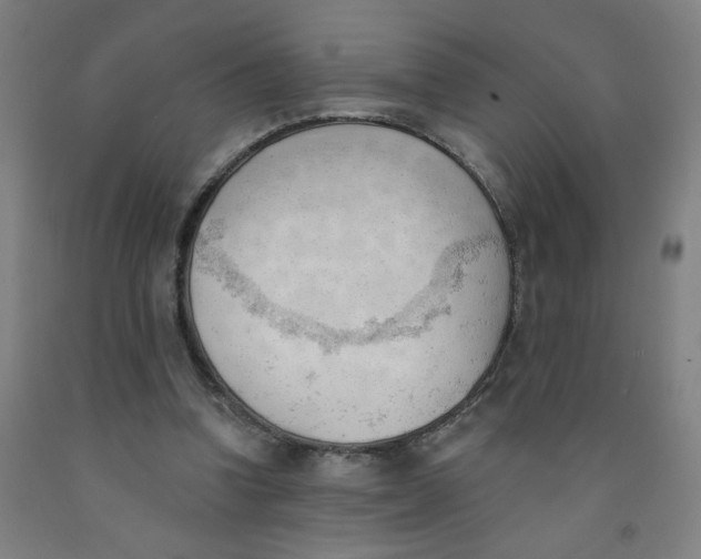 X0000091970346200709271411