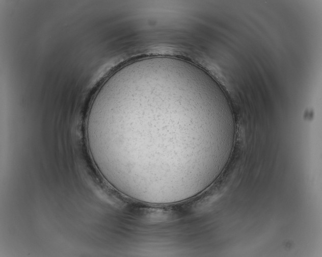X0000091970347200709271411