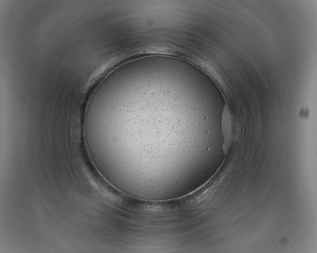 X0000091970349200709271411