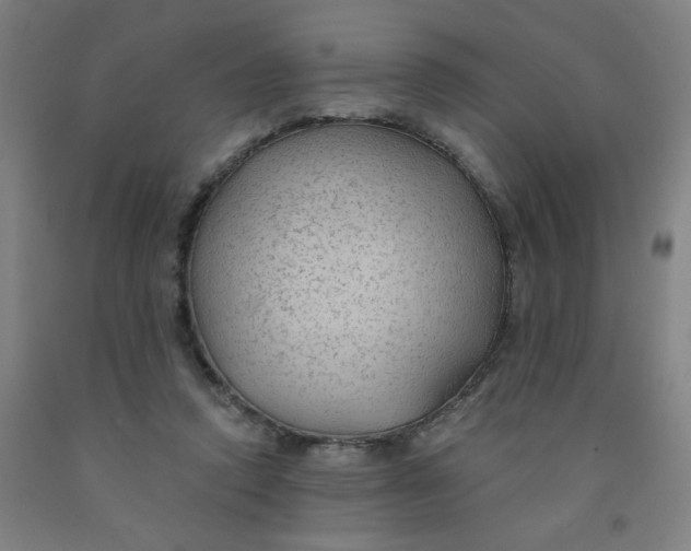 X0000091970354200709271412