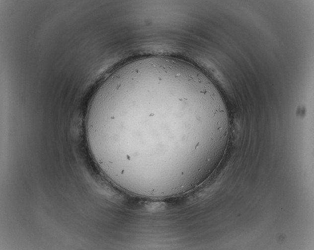 X0000091970355200709271412