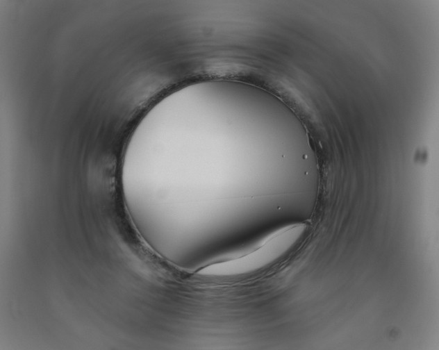 X0000091970356200709271412