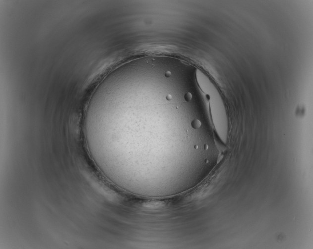 X0000091970357200709271412