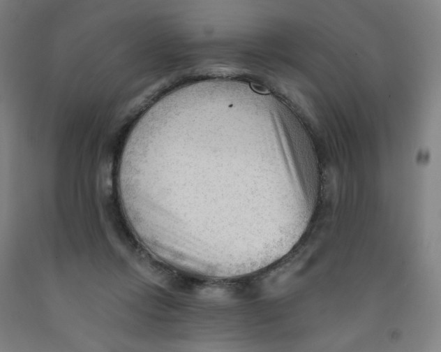 X0000091970358200709271412