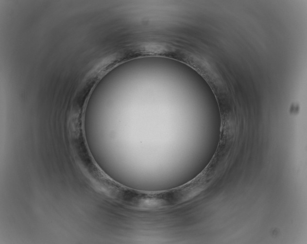 X0000091970360200709271412