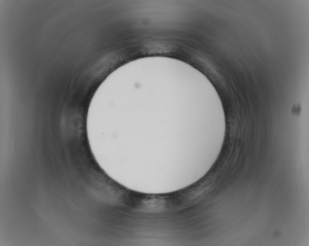 X0000091970362200709271412