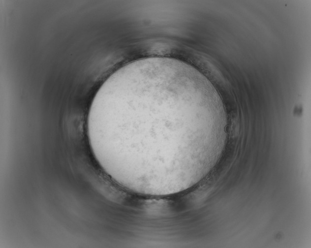 X0000091970363200709271412