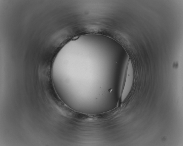 X0000091970364200709271412