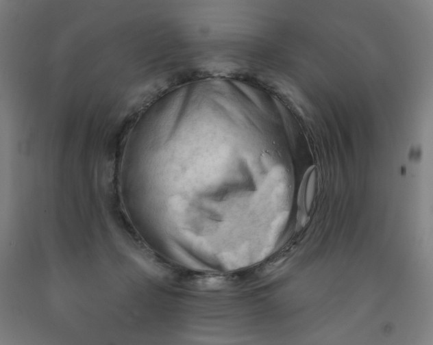 X0000091970365200709271412