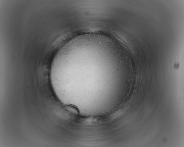 X0000091970366200709271412
