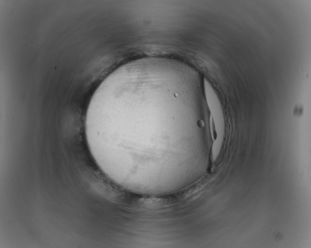 X0000091970367200709271412