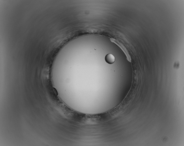 X0000091970368200709271412