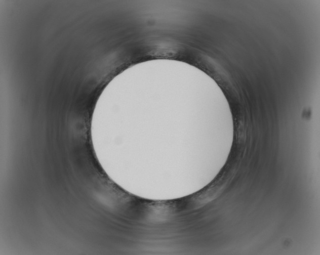 X0000091970370200709271412