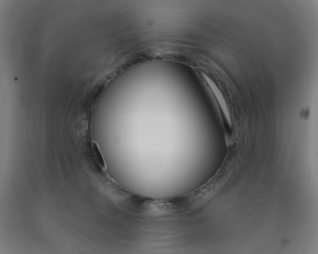 X0000091970372200709271412