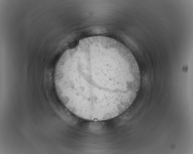 X0000091970373200709271412