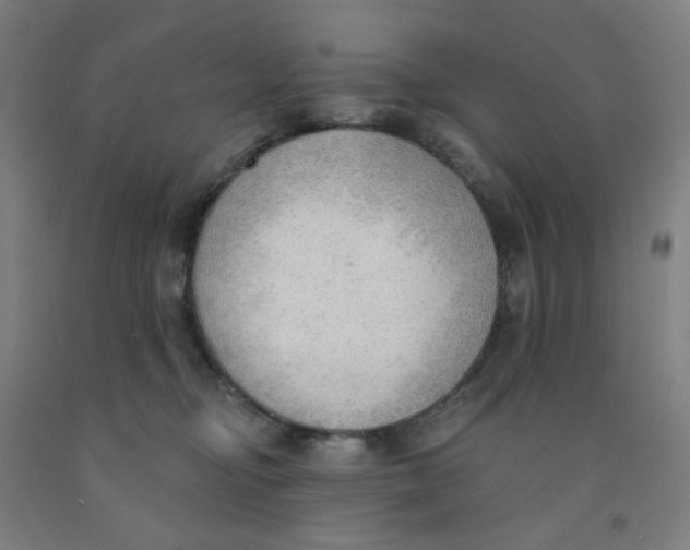 X0000091970374200709271412