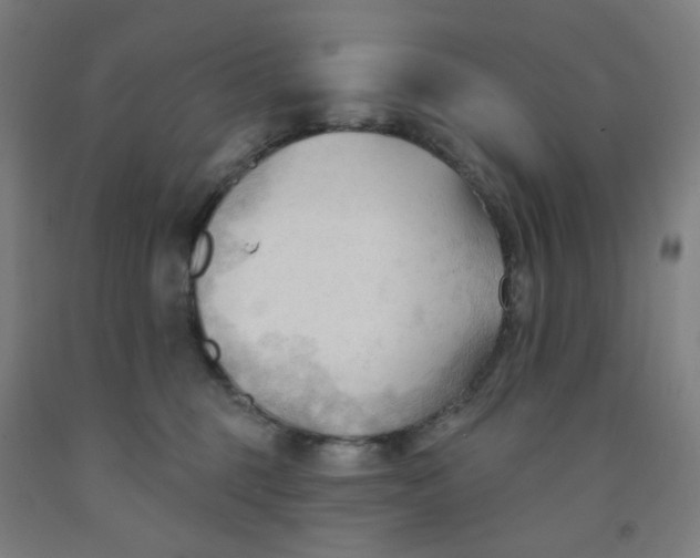 X0000091970375200709271412