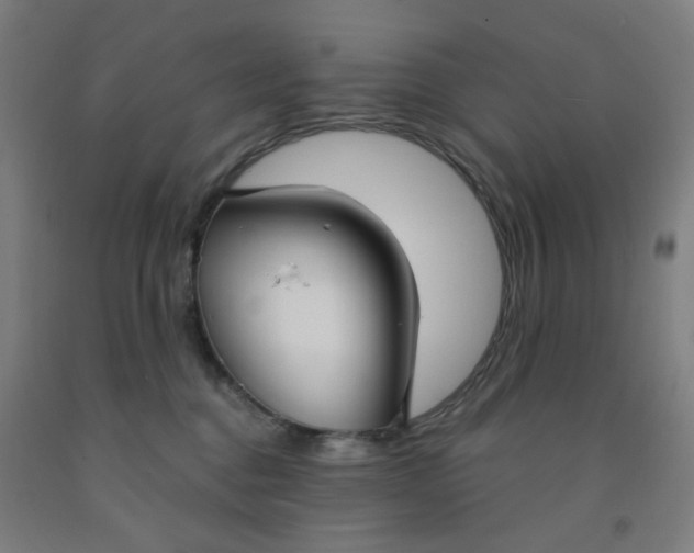 X0000091970376200709271412