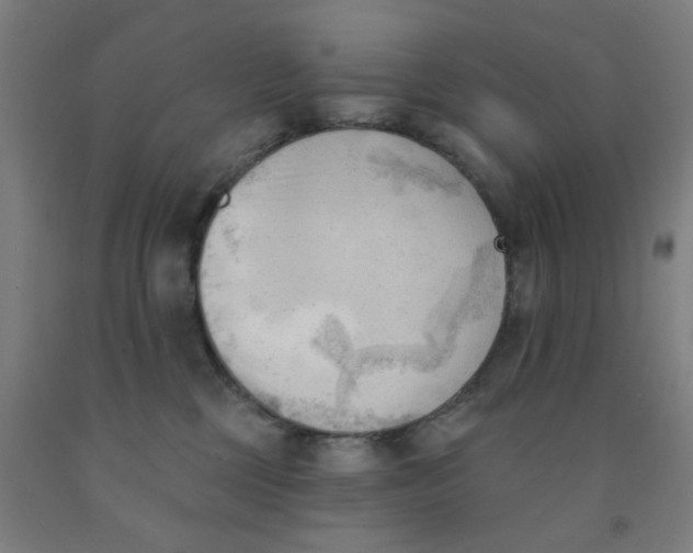 X0000091970377200709271412