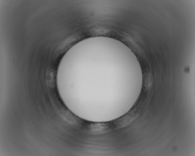 X0000091970378200709271412