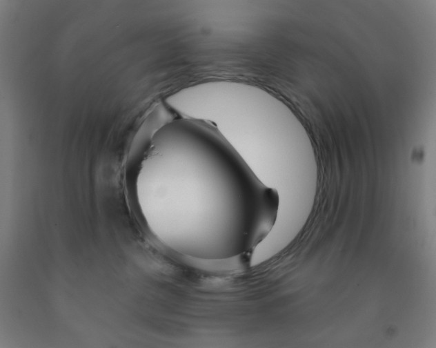 X0000091970380200709271412