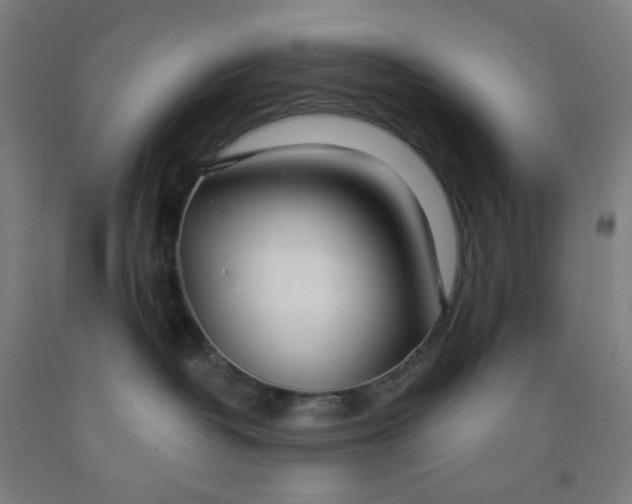 X0000091970382200709271412