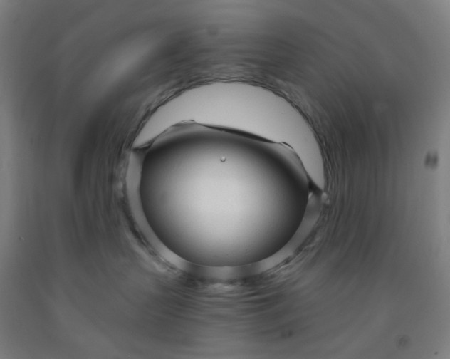 X0000091970383200709271412