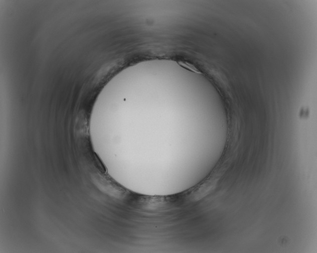 X0000091970384200709271412