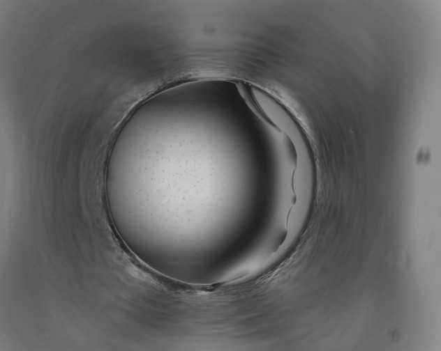 X0000091970385200709271411