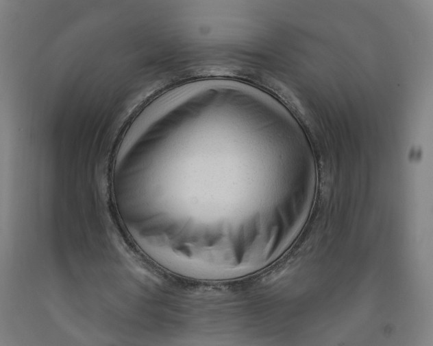 X0000091970386200709271411