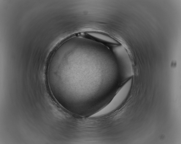 X0000091970387200709271411