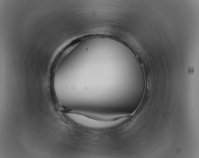 X0000091970388200709271411