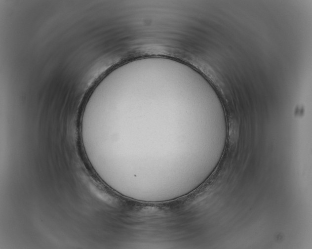X0000091970390200709271411
