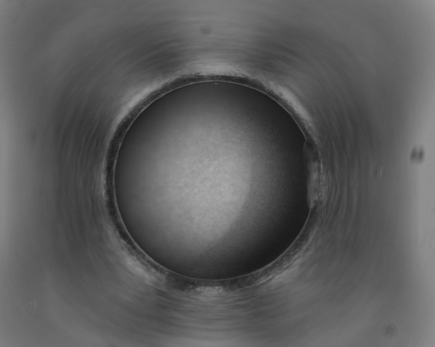 X0000091970391200709271411