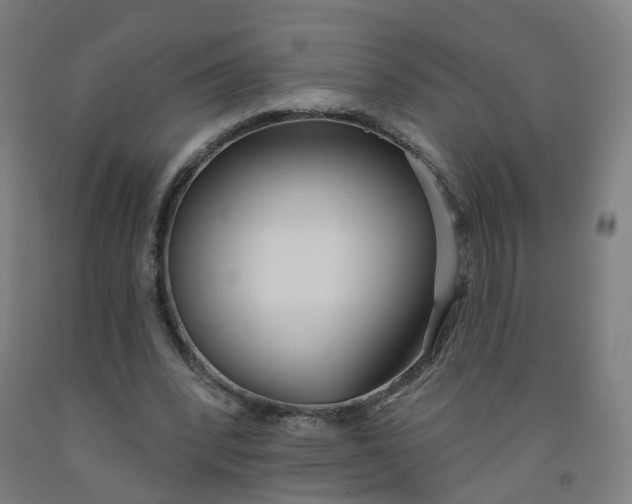 X0000091970392200709271411