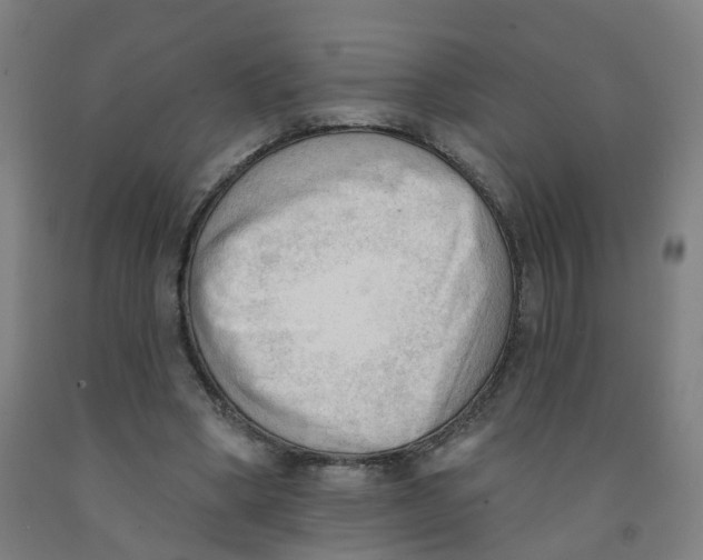 X0000091970394200709271411