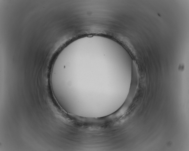 X0000091970395200709271411