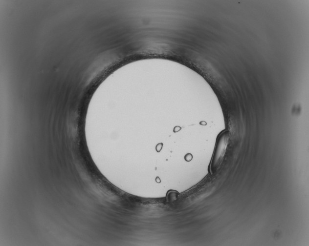 X0000091970396200709271411