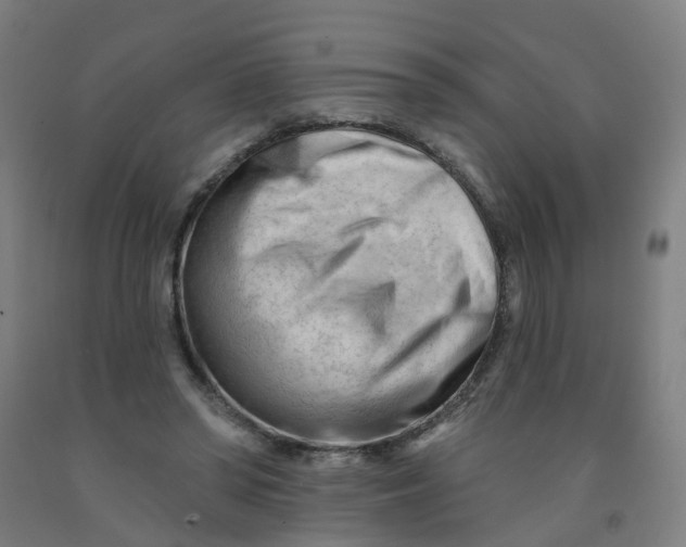 X0000091970398200709271411