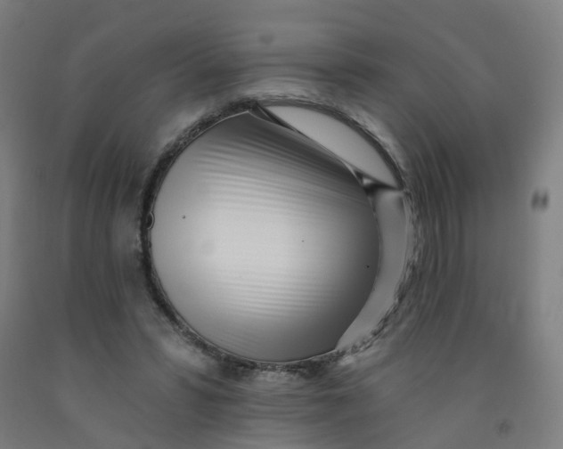 X0000091970399200709271411