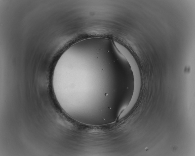 X0000091970400200709271411