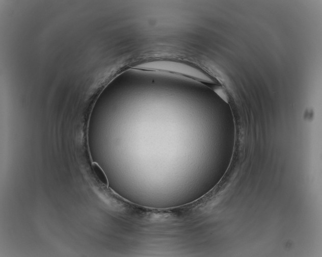X0000091970401200709271411