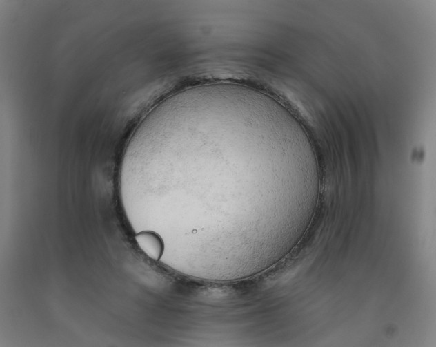 X0000091970402200709271411