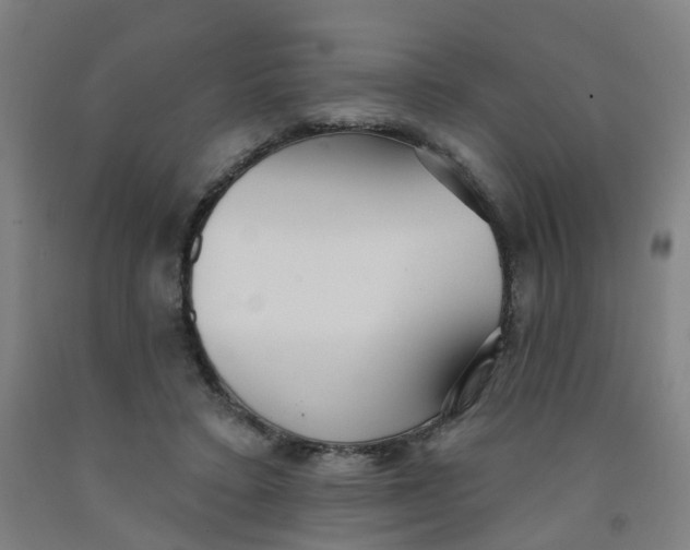 X0000091970403200709271411