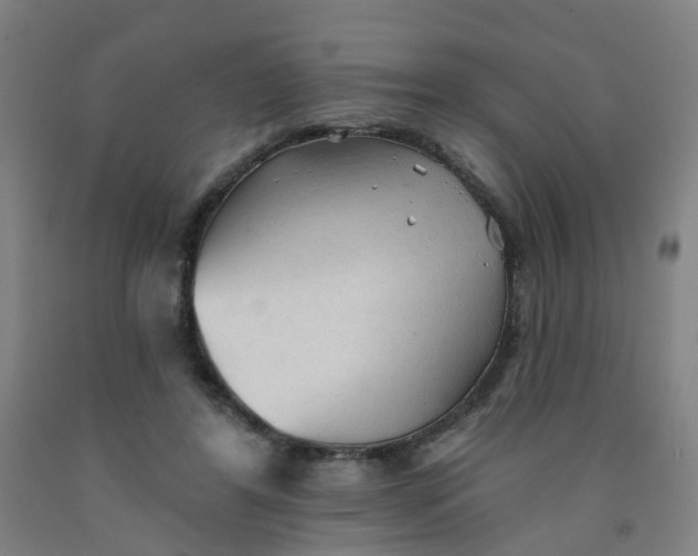X0000091970404200709271411