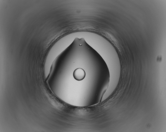 X0000091970405200709271411