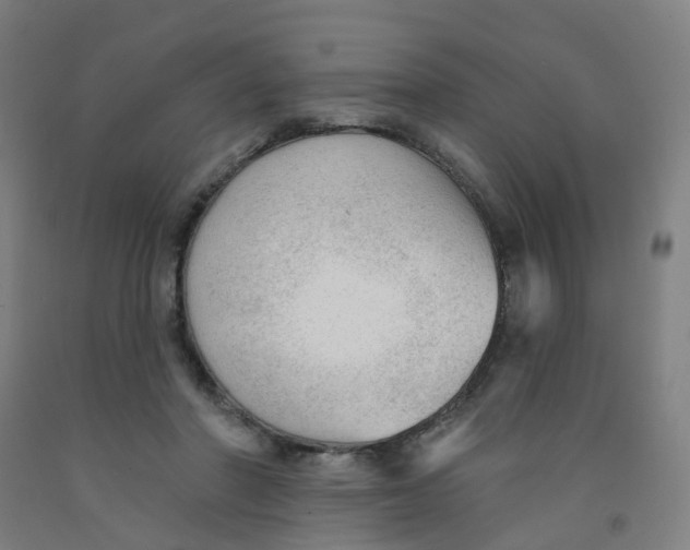 X0000091970406200709271411